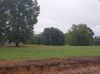 6620 Springhill photo